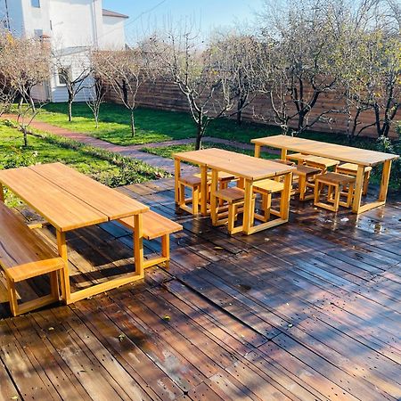 Biolocalia House Dobrogea Balotesti Exterior foto